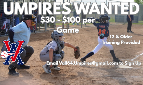 Want to Umpire for Us?